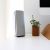 Public Wi-Fi Risks: Protect Your Data Now