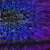 Cyber Resilience: Every Minute Matters
